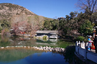 湖畔美景 桥横绿水映青山