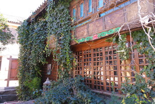 爬满绿植的古朴木质建筑