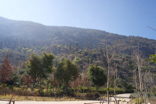 山间景色 绿树环绕的自然地