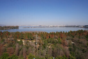 湖畔森林全景风光