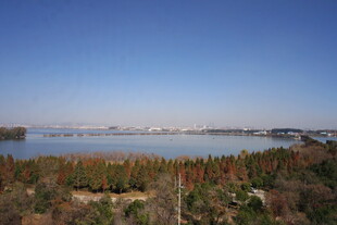 湖畔风光 绿树环绕的美景