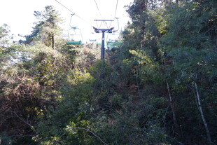 山林间的高耸信号塔