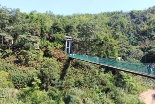 山林间的悬索桥