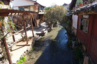 古巷小溪边的宁静景致