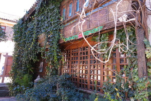 爬满藤蔓的古朴木质建筑