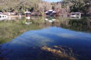 宁静湖水映山林美景