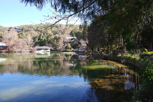 宁静湖畔的自然景致