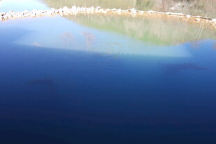 清澈湖水倒映岸边景色