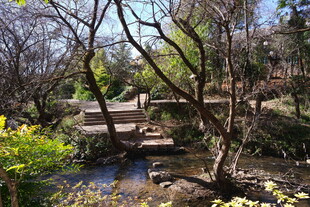 中式园林小桥流水景致