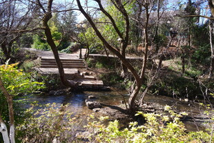 林间小溪上的古朴木桥