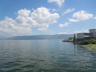 湖畔风光 宁静水域景色