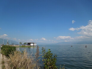 湖畔风光 宁静水岸景致