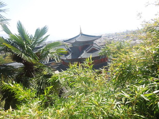 中式园林古建筑隐于绿植间