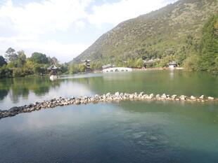 山间湖畔群鸟栖息美景