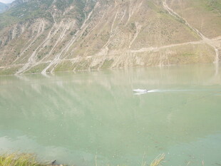 青山绿水间的行舟