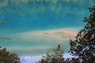 美丽湖畔自然风光