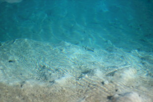 清澈海底的细腻沙床