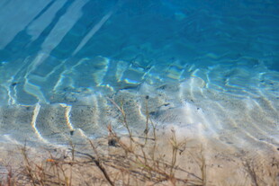 清澈海水下的沙滩景象