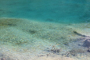 清澈见底的海边浅滩