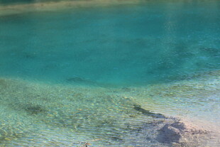 清澈见底的水底景观