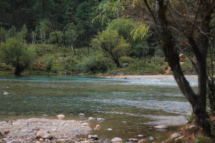 山间清澈溪流景色
