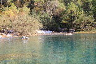 清澈湖畔的自然美景