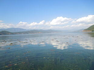 宁静湖景 澄澈蓝天映碧波