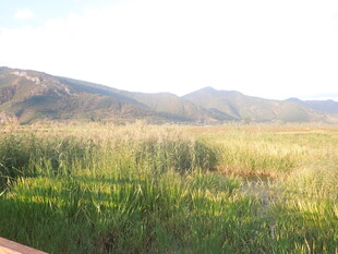 草原风光 远山近草景色美