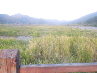 田园风光中的木栏与草地