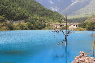 蓝湖孤树伴青山美景
