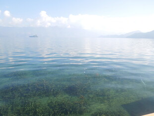 水下与水面的自然美景