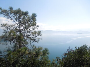 湖畔绿树映蓝天美景