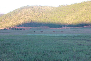 草原山丘间的自然美景