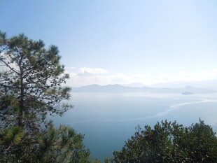 湖畔绿树映蓝天美景