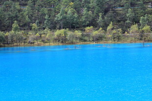 蓝色湖泊与周边葱郁树林