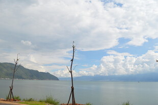 湖畔风光 宁静自然美景