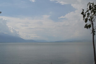 湖畔孤树 远山云雾美景