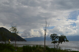 湖畔风景 云下树木与远山