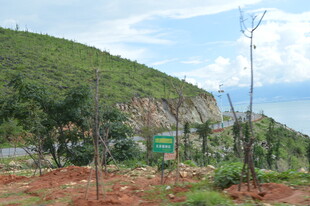 山坡路旁绿植与通信设施