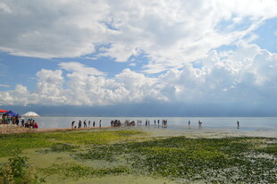 海边休闲场景 人群与蓝天