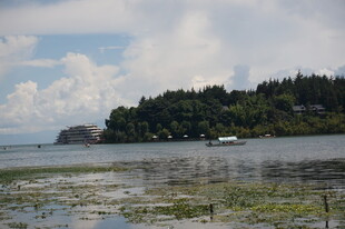 湖畔绿意盎然的自然景致