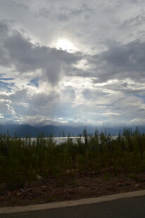 云遮日光下的道路与植被