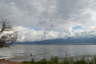 湖畔孤树与辽阔云水