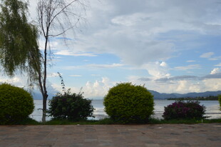 湖畔绿植与蓝天美景