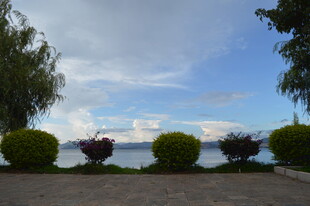 湖畔绿植景观 蓝天相伴