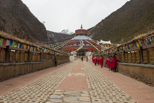 藏区寺庙前的多彩经幡之路