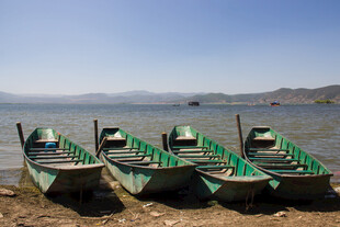 岸边停泊的绿色船只