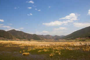 草原山谷间的美丽风光