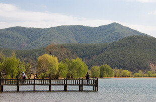 湖畔木栈道 青山绿树相伴