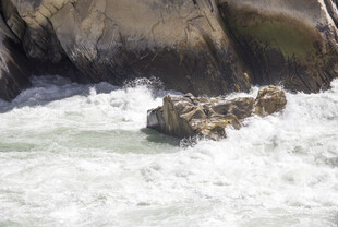 湍急水流中的岩石景观